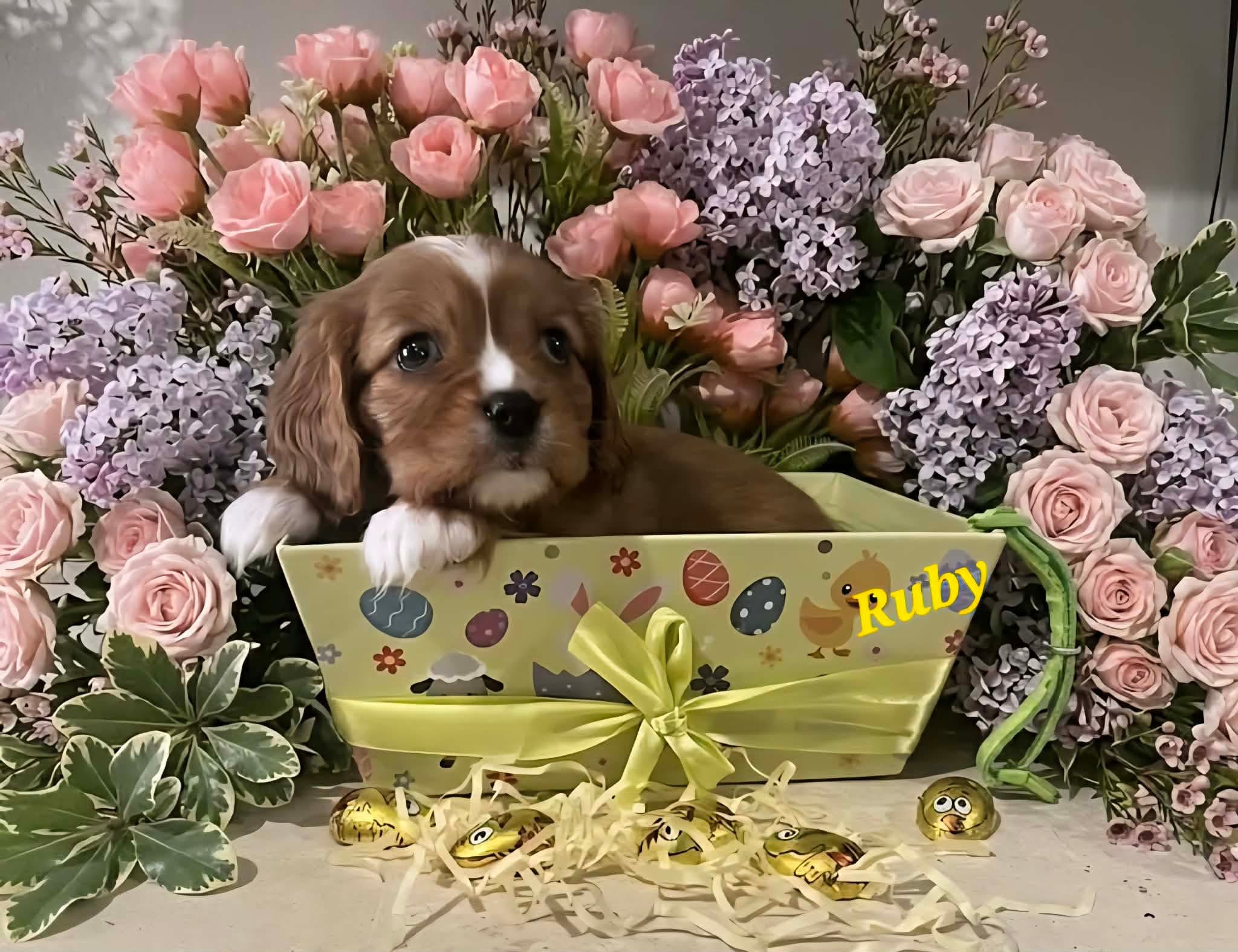 Ry